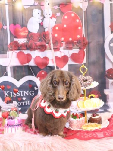 20250201ジョナくん